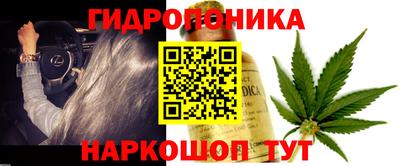 PSILOCYBIN Чебоксары