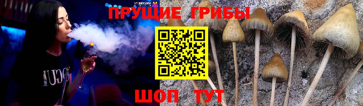 Псилоцибиновые грибы мухоморы Кстово